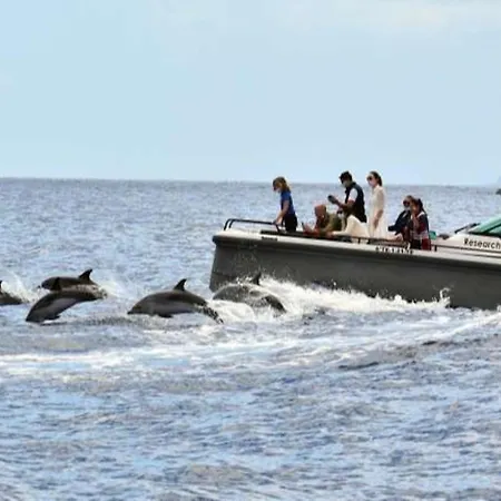 Winter Wonderland Jaktstuga *