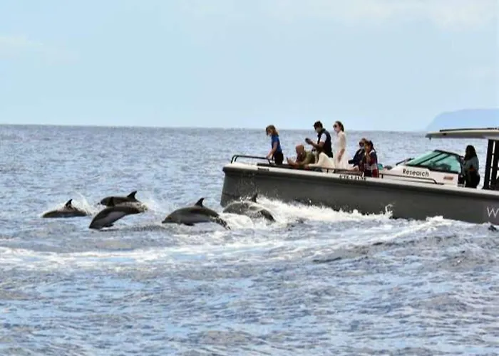 Winter Wonderland Lodge *