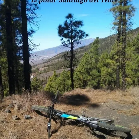 Winter Wonderland 圣地亚哥港