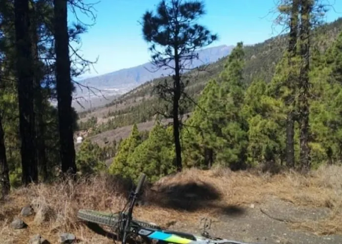 Winter Wonderland Пуэрто-де-Сантьяго